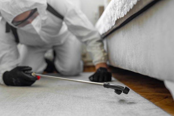 Professional Termite Control technician working in Plattsburg, MO