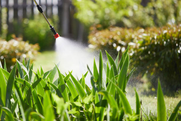 24/7 Emergency Termite Control experts in Plattsburg, MO